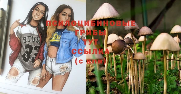 меф VHQ Богданович