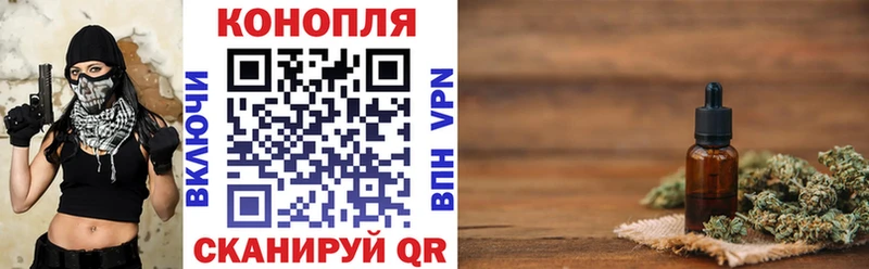 Конопля план  Коряжма 